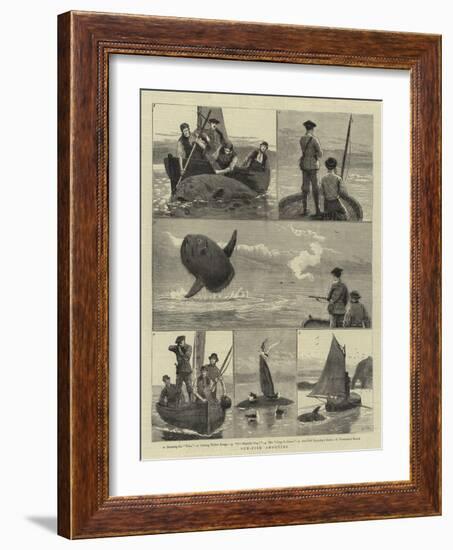 Sun-Fish Shooting-Joseph Nash-Framed Giclee Print