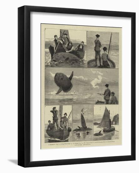 Sun-Fish Shooting-Joseph Nash-Framed Giclee Print