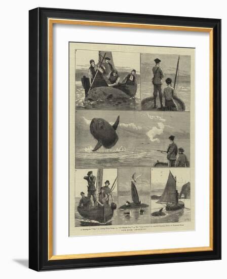 Sun-Fish Shooting-Joseph Nash-Framed Giclee Print