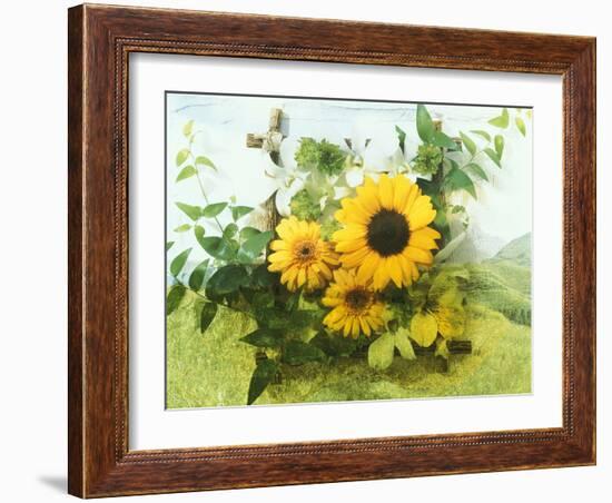 Sun Flowers And Green Vine Bouquet with Green Mountain Tops-null-Framed Photographic Print