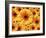 Sun flowers-Matthias Kulka-Framed Giclee Print