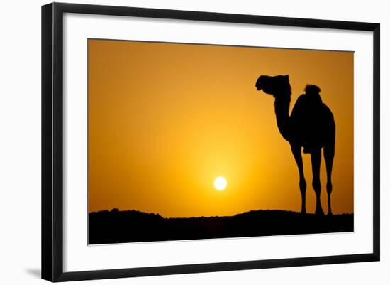 Sun Going Down in a Hot Desert: Silhouette of a Wild Camel at Sunset-l i g h t p o e t-Framed Photographic Print