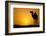 Sun Going Down in a Hot Desert: Silhouette of a Wild Camel at Sunset-l i g h t p o e t-Framed Photographic Print