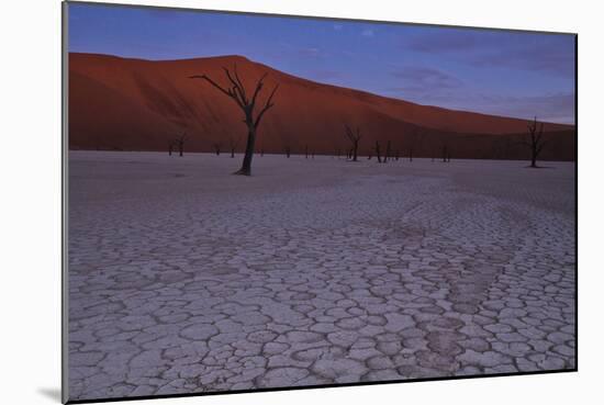 Sun Has Set The Rust Colored Dunes Turn Muted, Silhouettes Of The Dead Acacia Trees Of Deadvlei Pan-Karine Aigner-Mounted Photographic Print