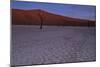 Sun Has Set The Rust Colored Dunes Turn Muted, Silhouettes Of The Dead Acacia Trees Of Deadvlei Pan-Karine Aigner-Mounted Photographic Print