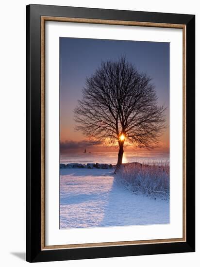 Sun In Tree-Michael Blanchette Photography-Framed Photographic Print