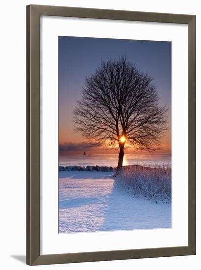 Sun In Tree-Michael Blanchette Photography-Framed Photographic Print