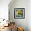 Sun Inside-Philippe Sainte-Laudy-Framed Photographic Print displayed on a wall