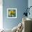 Sun Inside-Philippe Sainte-Laudy-Framed Photographic Print displayed on a wall