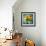 Sun Inside-Philippe Sainte-Laudy-Framed Photographic Print displayed on a wall