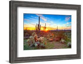 Sun is Setting between Saguaros, in Sonoran Desert.-Anton Foltin-Framed Photographic Print