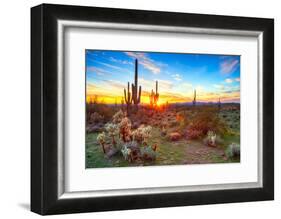 Sun is Setting between Saguaros, in Sonoran Desert.-Anton Foltin-Framed Photographic Print