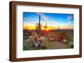 Sun is Setting between Saguaros, in Sonoran Desert.-Anton Foltin-Framed Photographic Print