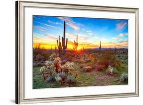 Sun is Setting between Saguaros, in Sonoran Desert.-Anton Foltin-Framed Photographic Print