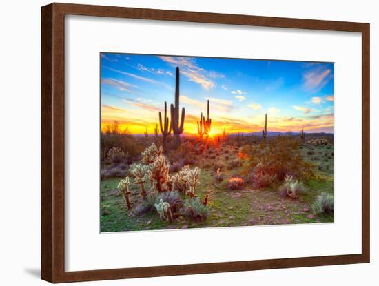 Sun is Setting between Saguaros, in Sonoran Desert.-Anton Foltin-Framed Photographic Print