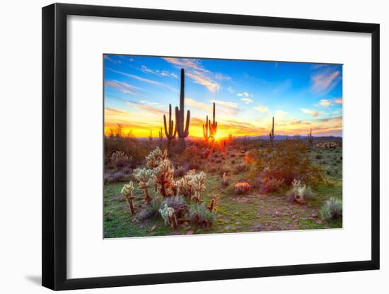 Sun is Setting between Saguaros, in Sonoran Desert.-Anton Foltin-Framed Photographic Print