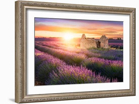 Sun Is Setting over a Beautiful Purple Lavender Filed in Valensole. Provence, France-Beatrice Preve-Framed Photographic Print