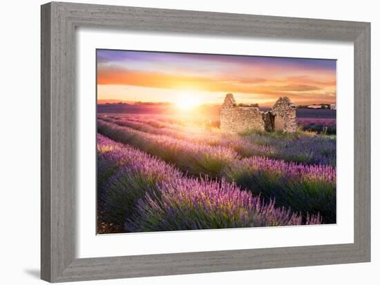 Sun Is Setting over a Beautiful Purple Lavender Filed in Valensole. Provence, France-Beatrice Preve-Framed Photographic Print