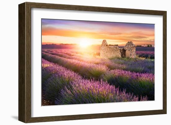 Sun Is Setting over a Beautiful Purple Lavender Filed in Valensole. Provence, France-Beatrice Preve-Framed Photographic Print