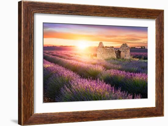 Sun Is Setting over a Beautiful Purple Lavender Filed in Valensole. Provence, France-Beatrice Preve-Framed Photographic Print