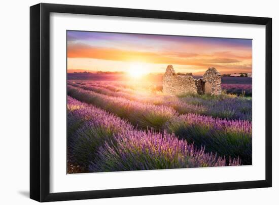 Sun Is Setting over a Beautiful Purple Lavender Filed in Valensole. Provence, France-Beatrice Preve-Framed Photographic Print