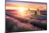 Sun Is Setting over a Beautiful Purple Lavender Filed in Valensole. Provence, France-Beatrice Preve-Mounted Photographic Print