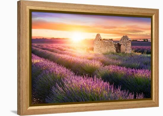 Sun Is Setting over a Beautiful Purple Lavender Filed in Valensole. Provence, France-Beatrice Preve-Framed Premier Image Canvas