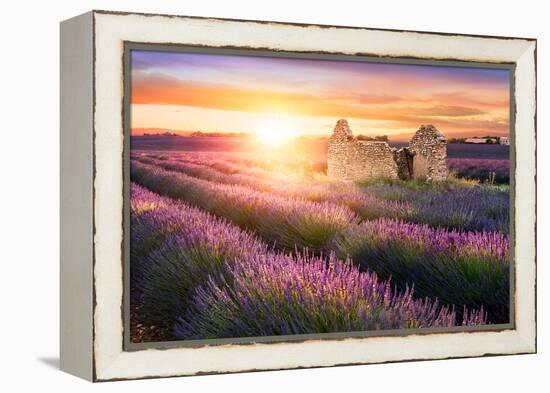 Sun Is Setting over a Beautiful Purple Lavender Filed in Valensole. Provence, France-Beatrice Preve-Framed Premier Image Canvas