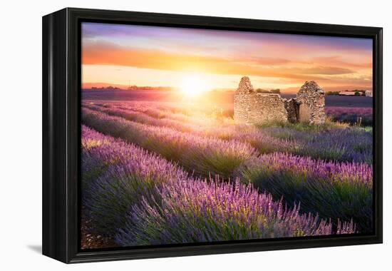 Sun Is Setting over a Beautiful Purple Lavender Filed in Valensole. Provence, France-Beatrice Preve-Framed Premier Image Canvas