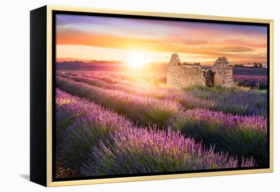 Sun Is Setting over a Beautiful Purple Lavender Filed in Valensole. Provence, France-Beatrice Preve-Framed Premier Image Canvas