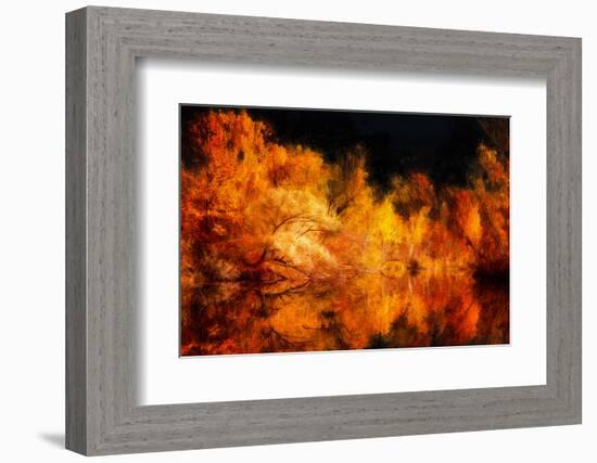 Sun Kissed-Philippe Sainte-Laudy-Framed Photographic Print