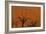 Sun Lights Up Orange Dunes & Silhouette Dread Trees Of Deadvlei Pan, Dunes In Namibia-Karine Aigner-Framed Photographic Print