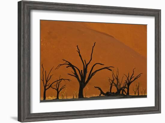 Sun Lights Up Orange Dunes & Silhouette Dread Trees Of Deadvlei Pan, Dunes In Namibia-Karine Aigner-Framed Photographic Print