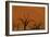 Sun Lights Up Orange Dunes & Silhouette Dread Trees Of Deadvlei Pan, Dunes In Namibia-Karine Aigner-Framed Photographic Print