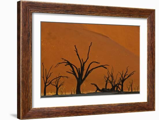 Sun Lights Up Orange Dunes & Silhouette Dread Trees Of Deadvlei Pan, Dunes In Namibia-Karine Aigner-Framed Photographic Print