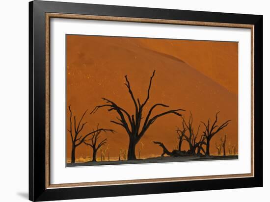 Sun Lights Up Orange Dunes & Silhouette Dread Trees Of Deadvlei Pan, Dunes In Namibia-Karine Aigner-Framed Photographic Print