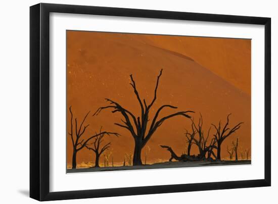 Sun Lights Up Orange Dunes & Silhouette Dread Trees Of Deadvlei Pan, Dunes In Namibia-Karine Aigner-Framed Photographic Print