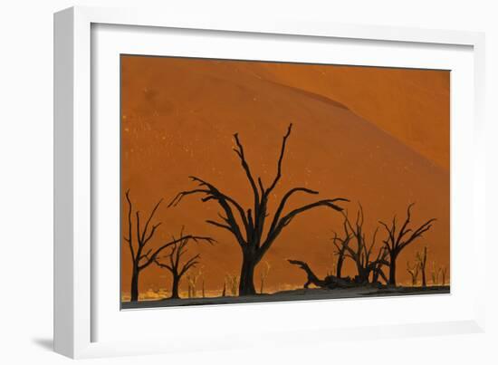 Sun Lights Up Orange Dunes & Silhouette Dread Trees Of Deadvlei Pan, Dunes In Namibia-Karine Aigner-Framed Photographic Print