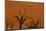 Sun Lights Up Orange Dunes & Silhouette Dread Trees Of Deadvlei Pan, Dunes In Namibia-Karine Aigner-Mounted Photographic Print