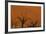 Sun Lights Up Orange Dunes & Silhouette Dread Trees Of Deadvlei Pan, Dunes In Namibia-Karine Aigner-Framed Photographic Print