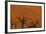 Sun Lights Up Orange Dunes & Silhouette Dread Trees Of Deadvlei Pan, Dunes In Namibia-Karine Aigner-Framed Photographic Print