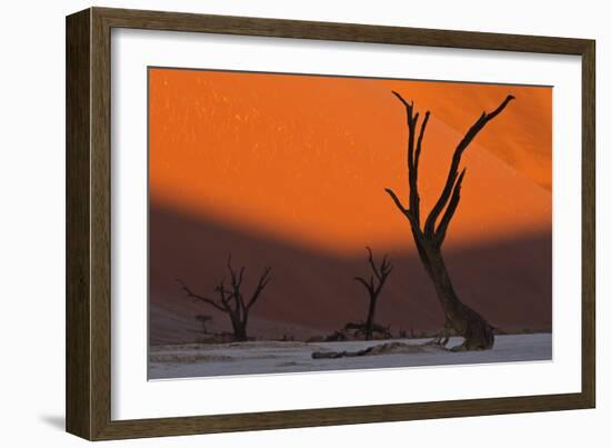 Sun Lights Up Orange Dunes & Silhouettes Dead Acacia Trees Of Deadvlei Pan, By Dunes In Namibia-Karine Aigner-Framed Photographic Print