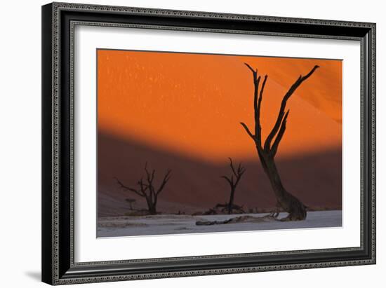 Sun Lights Up Orange Dunes & Silhouettes Dead Acacia Trees Of Deadvlei Pan, By Dunes In Namibia-Karine Aigner-Framed Photographic Print