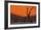 Sun Lights Up Orange Dunes & Silhouettes Dead Acacia Trees Of Deadvlei Pan, By Dunes In Namibia-Karine Aigner-Framed Photographic Print