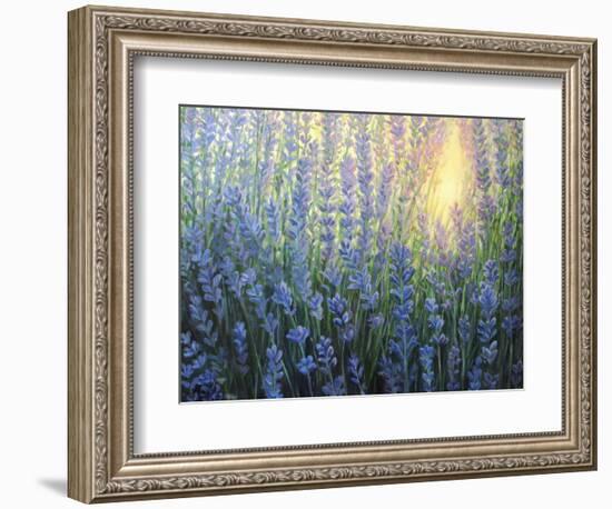 Sun Nuance-kirilstanchev-Framed Premium Giclee Print