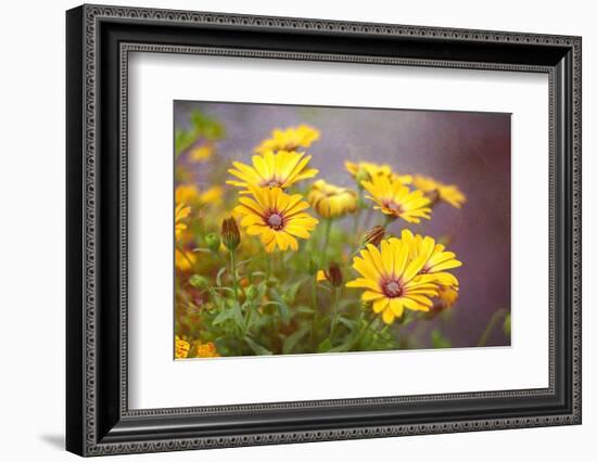 Sun of the Sun-Viviane Fedieu Daniel-Framed Photographic Print