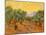 Sun over Olive Grove, 1889-Vincent van Gogh-Mounted Premium Giclee Print