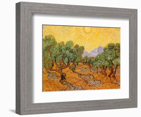 Sun over Olive Grove, 1889-Vincent van Gogh-Framed Premium Giclee Print