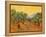 Sun over Olive Grove, 1889-Vincent van Gogh-Framed Premier Image Canvas