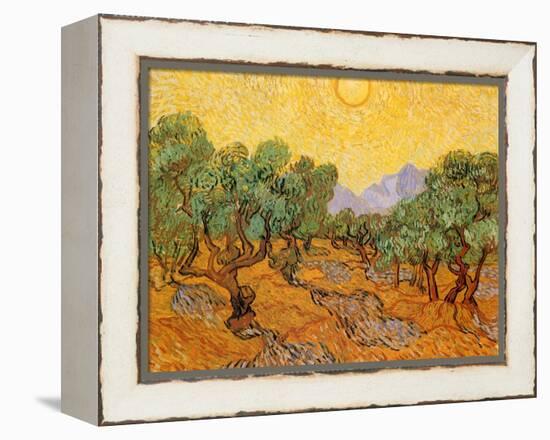 Sun over Olive Grove, 1889-Vincent van Gogh-Framed Premier Image Canvas